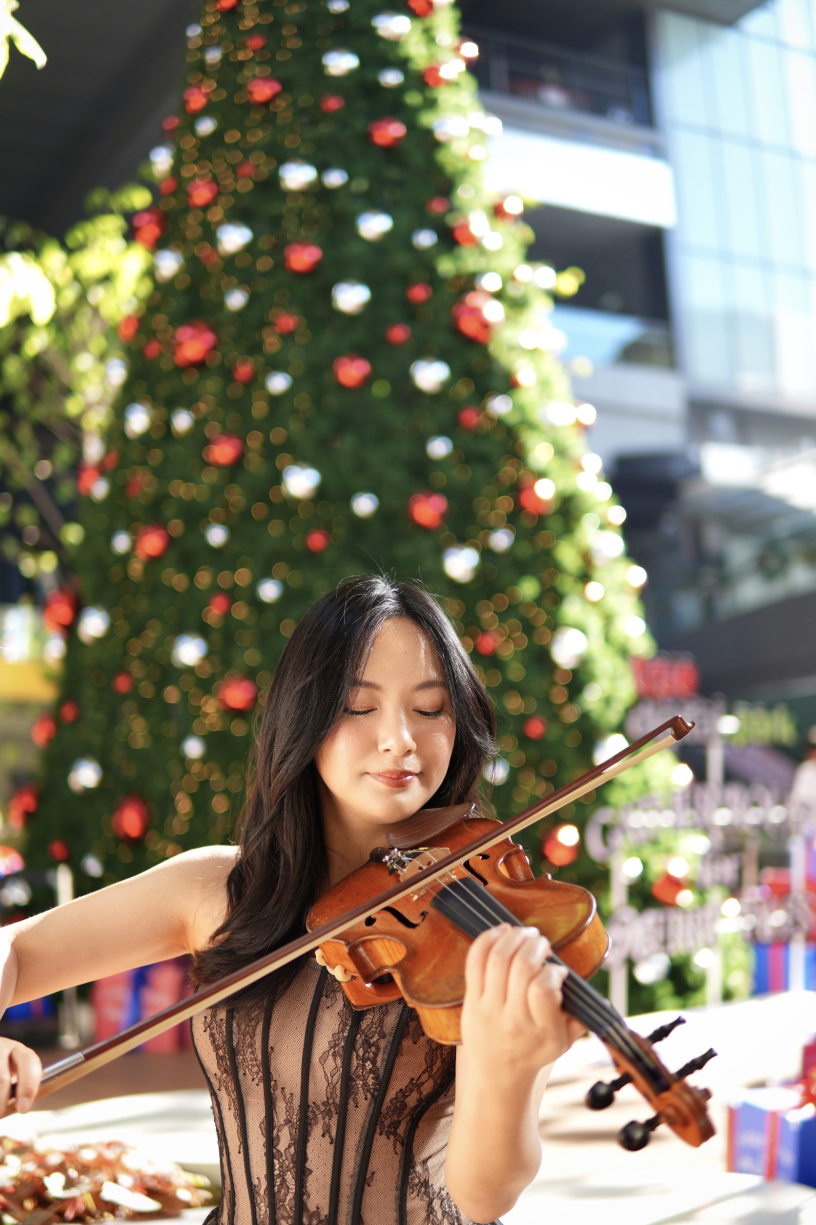 violin jinny